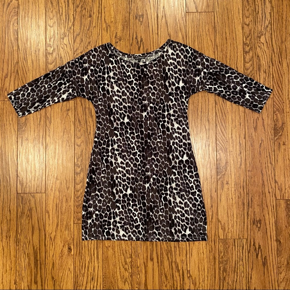 Express Bodycon dress